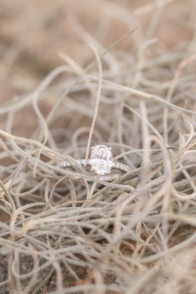 Amy + brandon Engagement - Annie Elise Photography 1-40
